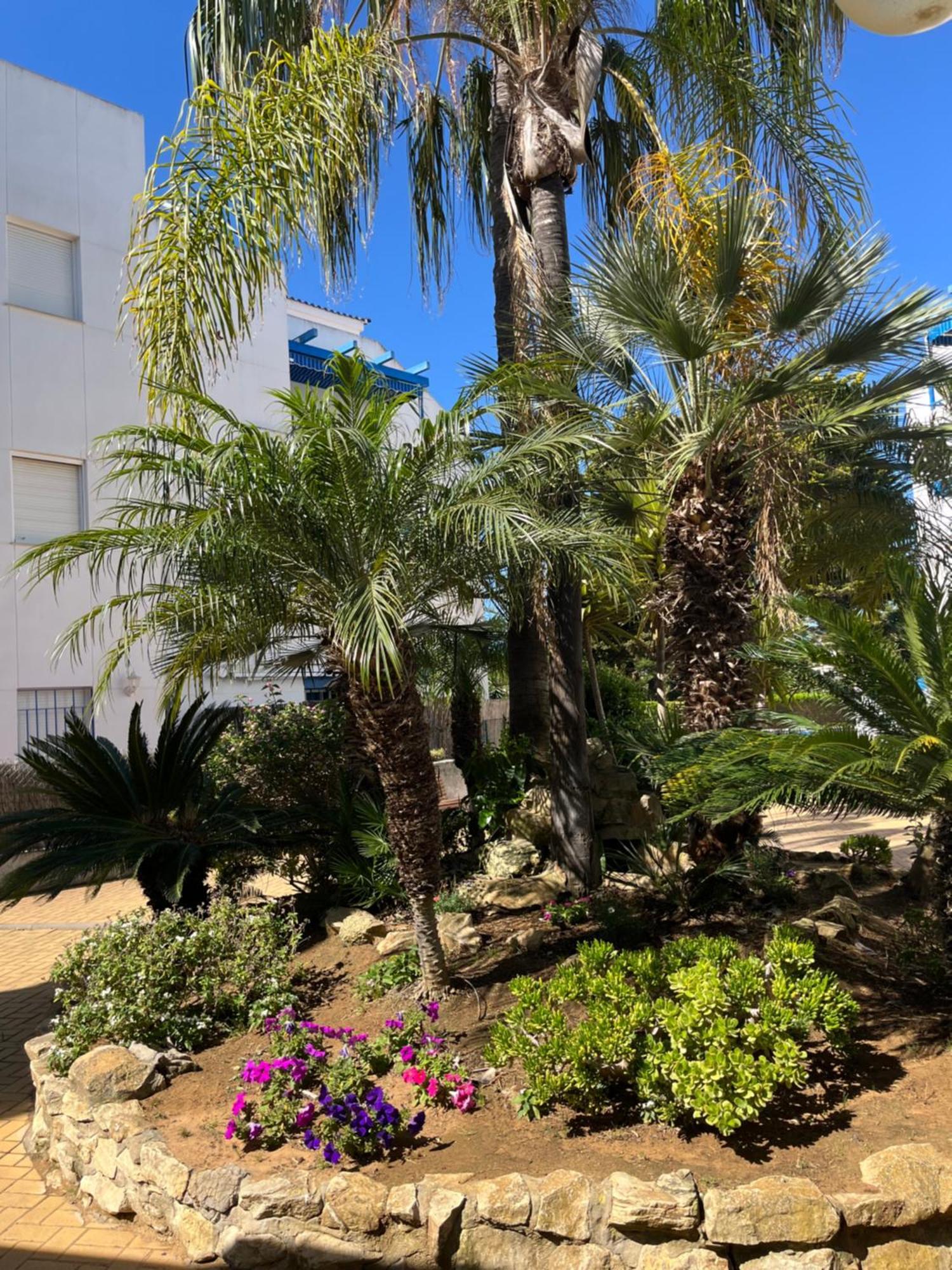 En Costa Ballena, Urb. Playa Ballena Cádiz